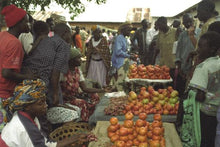 Quintessential Uganda