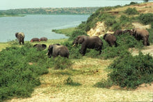 Quintessential Uganda