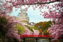 Himeji Castle Kyoto