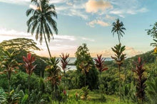 Tahiti & Islands of French Polynesia