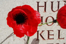 Memorial poppy