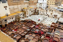 Discover Morocco (Casablanca dep)