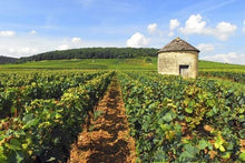 Remarkable Sites and Fine Wines on a Cruise through the Doubs Valley and Burgundy (port-to-port cruise)