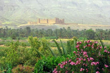 Ouarzazate South Kasbah