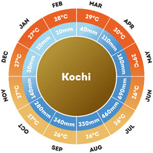 Spices and Houseboats of Kerala