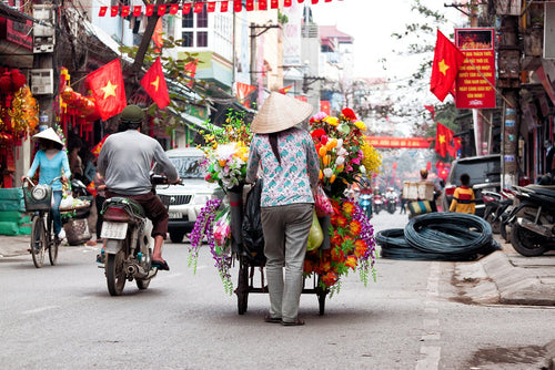 Vietnam in Luxury