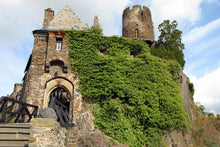 The Rhine & Moselle (port-to-port cruise)
