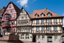 Trans-European cruise from Strasbourg to Budapest (port-to-port cruise)