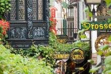 Holland and the romantic Rhine valley (port-to-port cruise)