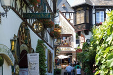 The romantic Rhine valley and Holland (port-to-port cruise)