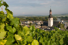 The romantic Rhine Valley and the rock of the Lorelei (port-to-port cruise)