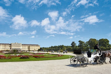 Capital Cities Along the Danube (port-to-port cruise)