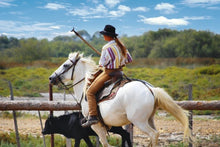 All the must-see sites on the Rhone between Lyon, Provence, and the Camargue with a dinner at Paul Bocuse's Abbaye de Collonges Restaurant OFFERED (port-to-port cruise)