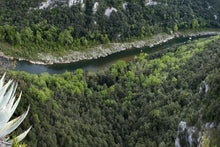 The Loire Valley, a Royal legacy (port-to-port cruise)
