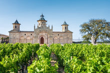 Cruise through the Aquitaine Region from Bordeaux to Royan, along the Gironde Estuary and the Garonne and Dordogne Rivers (port-to-port cruise)
