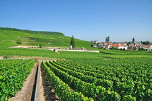 France at its Finest from the Champagne Region to Paris (port-to-port cruise)