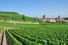 France at its Finest from the Champagne Region to Paris (port-to-port cruise)