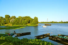 From the Chateaux of Chambord and Chenonceau to the Loire Valley