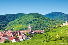 Alsace: land of tradition and gastronomy (port-to-port cruise)