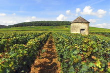 Fine Food and Wines on a Cruise through the Burgundy Region (port-to-port cruise)