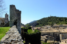 From Burgundy to the Camargue along the Saone and Rhone Rivers (port-to-port cruise)