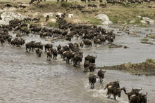 Kenya & Tanzania Classic Safari