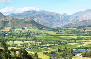 Quintessential South Africa