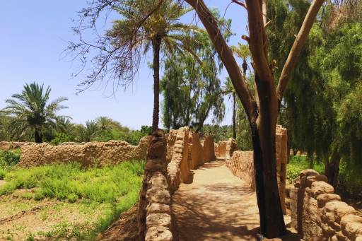 AlUla Jadida and Old Town