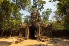 Angkor - Ta Phrom Temple