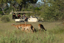 Botswana_Okavango Delta_Game Viewing