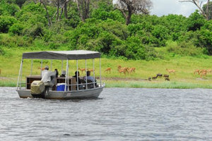 Botswana_Chobe National Park
