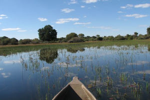 Botswana_Okavango Delta_Mokoro Ride