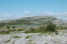 Burren National Park