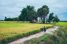 Cambodia Rural Life