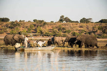 Victoria Falls Golden Safari