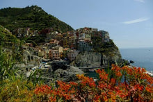 Cinque Terre_Manarola