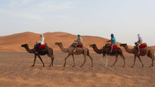 Imperial Cities and Desert