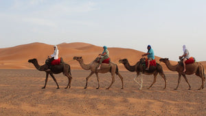Imperial Cities and Desert