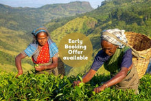 Ancient Cities, Tea Trails & Leopard Country
