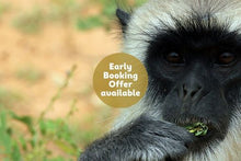 Heritage, Wildlife & Coastal Retreats
