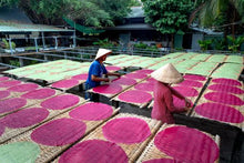 Rice Paper Making