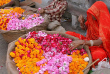 India Family Adventure