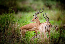 Small Group Northern Tanzania Adventure Safari