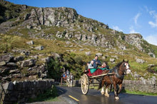 Jaunting Car - Killarney National Park