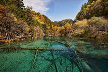 Jiuzhaigou - ValleyPools