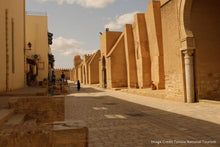 Discover Tunisia