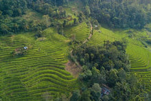 Kandy - terraced hills