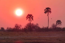 Best of Botswana and Zimbabwe
