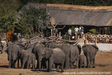 Khulu Bush Camp - Front View with Elephants