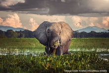 Malawi & Zimbabwe